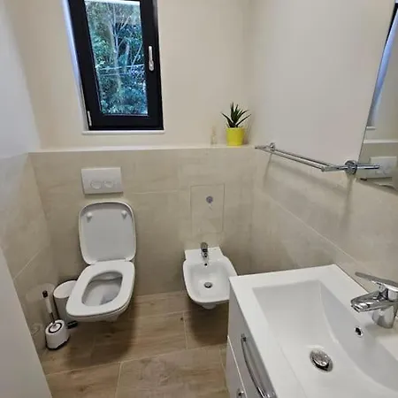 Merisor Modern Apartment