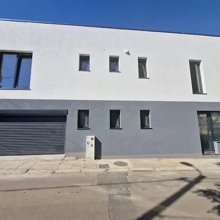Apartment Merisor Modern