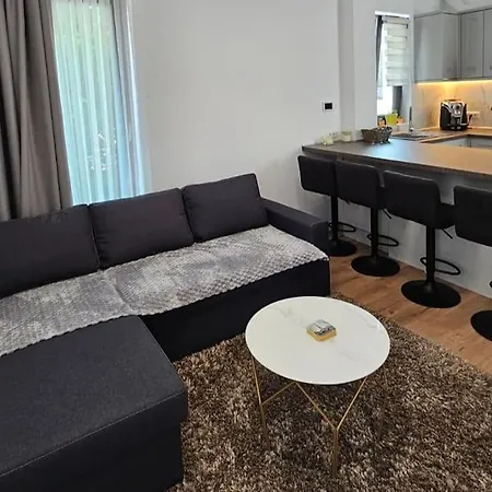Merisor Modern Apartment