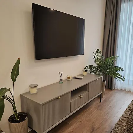 Merisor Modern