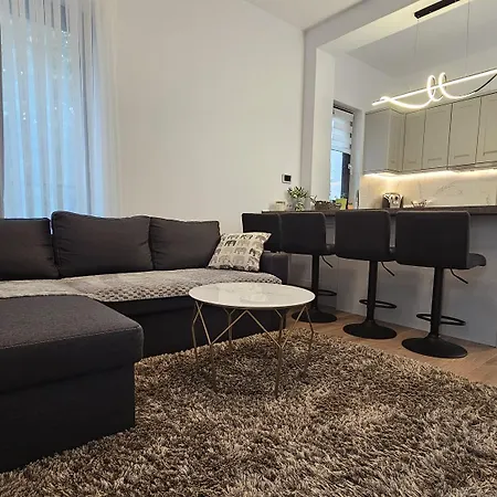 Merisor Modern Apartment *