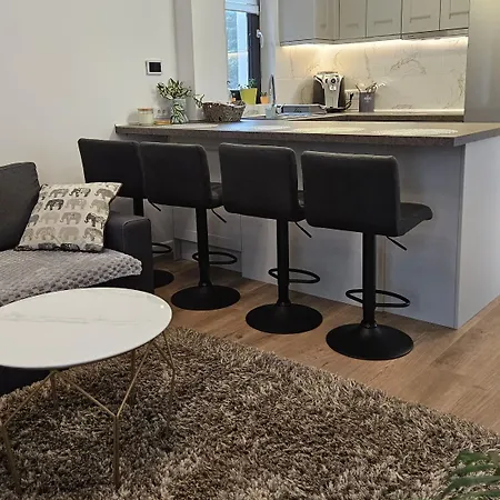 Merisor Modern Apartment Constanta