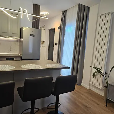 Merisor Modern Apartment