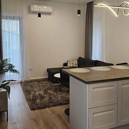 Apartment Merisor Modern